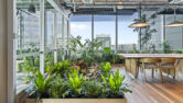 ARUP Office